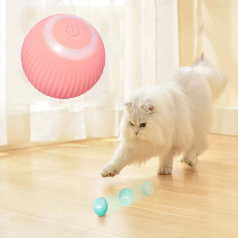 Claw & Paws Interactive Ball